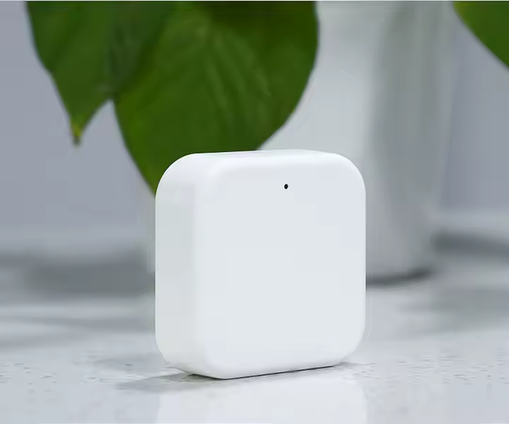 RG2 Gateway for Smart Lock Boxes surebox